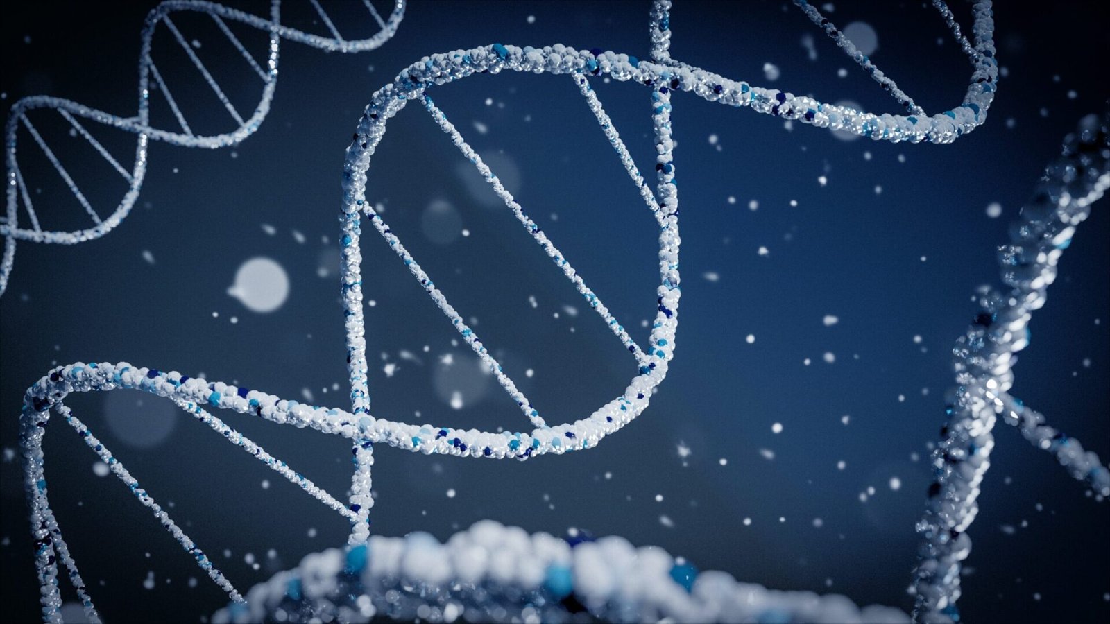Unleashing Potential: The World of DNA Computing
