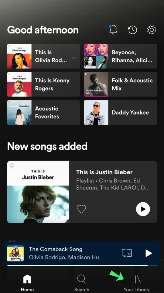 How To See Who Liked Your Spotify Playlist On iPhone